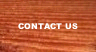 Contact & Bookings